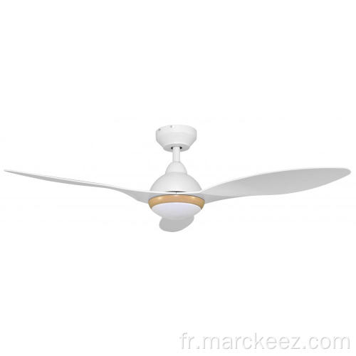 Ventilateur de plafond décoratif de petite taille